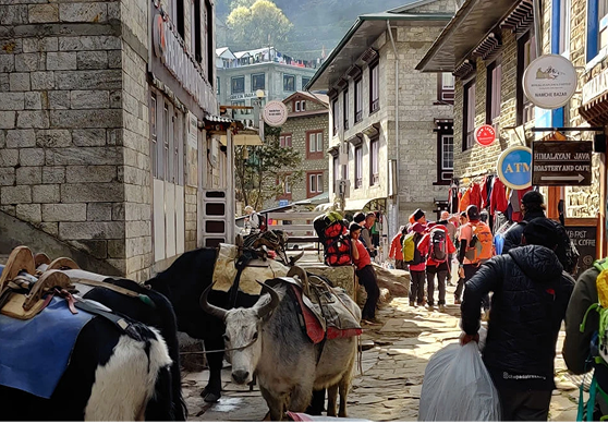 Everest trek